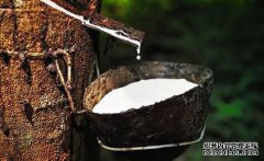 橡膠上漲仍可期，焦炭期現(xiàn)聯(lián)動(dòng)，向