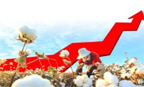 棉花期貨價格變化和哪些因素有關？變動
