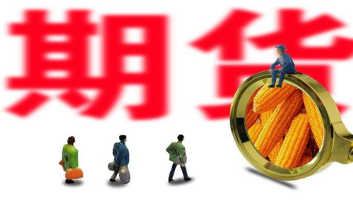 新手投資者怎么買玉米期貨？