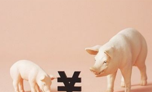 一手生豬期貨交易成本要多少錢？保